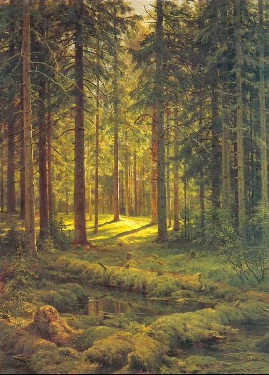 Ivan Shishkin Coniferous Forest, Sunny Day china oil painting image